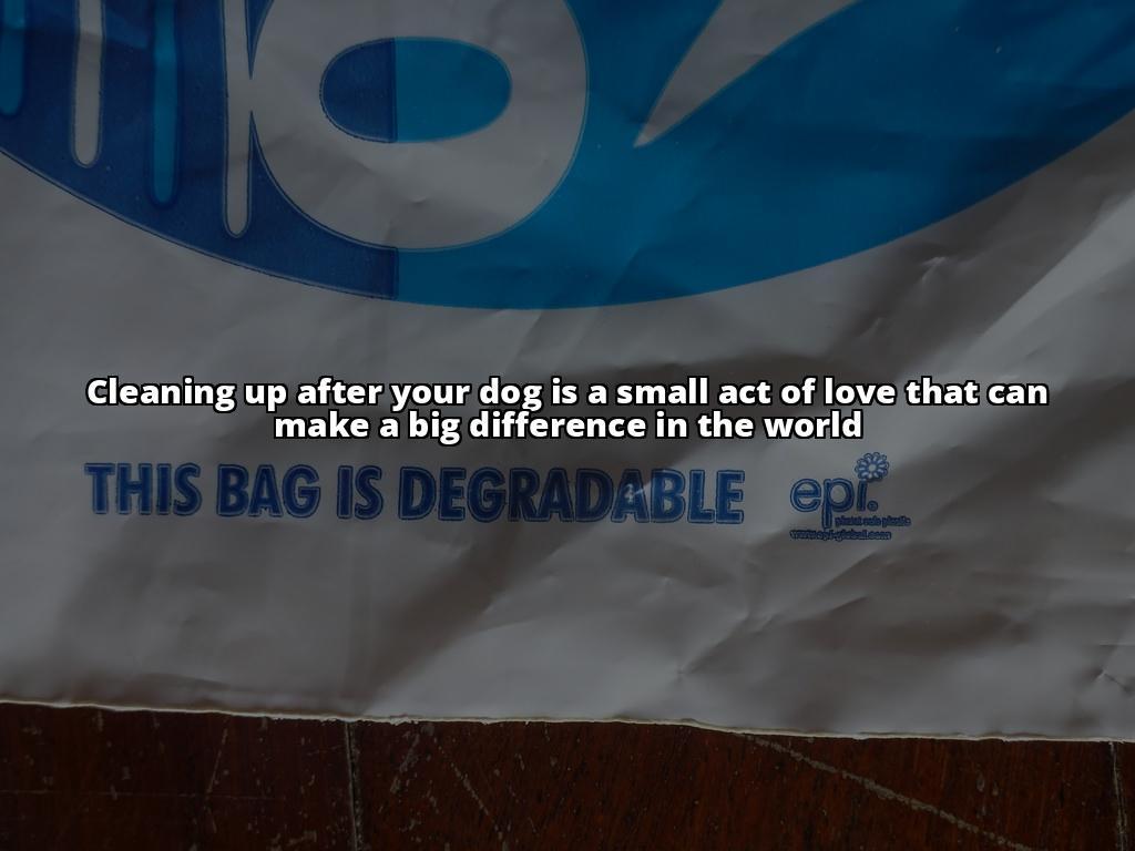 A Quick Guide to Removing Dog Poop Stains from Your Carpet Removing Dog Poop Stains from Your Carpet: A Step-by-Step Guide A Quick Guide to Removing Dog Poop Stains from Your Carpet Removing Dog Poop Stains from Your Carpet: A Step-by-Step Guide
