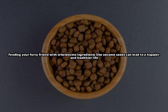Are Sesame Seeds Safe for Dogs to Eat? - 9 Are you curious if your dog can eat sesame seeds? Our article has everything you need to know to make an informed decision
