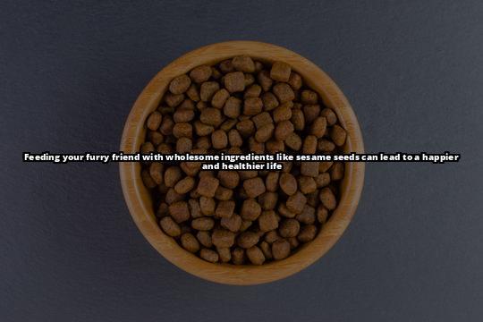 Are Sesame Seeds Safe for Dogs to Eat? - 9 Are you curious if your dog can eat sesame seeds? Our article has everything you need to know to make an informed decision Are Sesame Seeds Safe for Dogs to Eat? - 9 Are you curious if your dog can eat sesame seeds? Our article has everything you need to know to make an informed decision