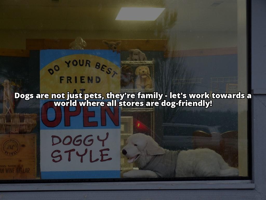 Bringing Your Pooch to Home Depot? Here's What You Need to Know The Ultimate Guide to Bringing Your Dog to Home Depot - Know Before You Go! Bringing Your Pooch to Home Depot? Here's What You Need to Know The Ultimate Guide to Bringing Your Dog to Home Depot - Know Before You Go!