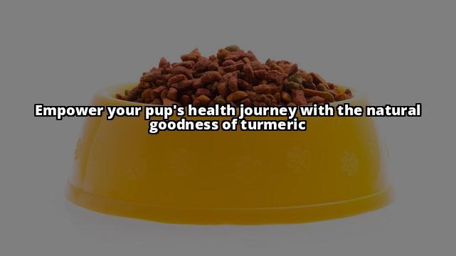 Can Dogs Have Turmeric? A Complete Guide to the Health Benefits Discover the amazing benefits of turmeric for your dog's health and wellbeing. Learn how to safely administer turmeric and enhance your furry buddy's quality of life Can Dogs Have Turmeric? A Complete Guide to the Health Benefits Discover the amazing benefits of turmeric for your dog's health and wellbeing. Learn how to safely administer turmeric and enhance your furry buddy's quality of life