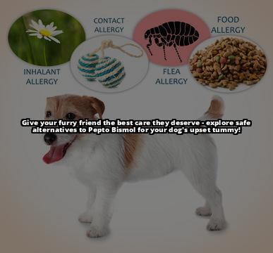 Can Dogs Take Pepto Bismol for Upset Stomachs? Here's What You Need to Know Worried about your dog's upset stomach? Discover if Pepto Bismol is a safe solution with our expert guide Can Dogs Take Pepto Bismol for Upset Stomachs? Here's What You Need to Know Worried about your dog's upset stomach? Discover if Pepto Bismol is a safe solution with our expert guide