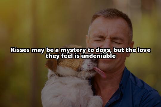 Canine Communication: Do Dogs Grasp the Concept of Kisses? Discover the truth behind your dog's reaction to kisses in this in-depth exploration of canine communication Canine Communication: Do Dogs Grasp the Concept of Kisses? Discover the truth behind your dog's reaction to kisses in this in-depth exploration of canine communication
