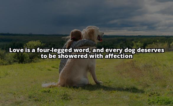 Do Dogs Actually Enjoy Kisses? Here's What Science Says Wondering if your furry friend likes kisses? This article delves into the science behind dog behavior, discussing if dogs enjoy kisses and why Do Dogs Actually Enjoy Kisses? Here's What Science Says Wondering if your furry friend likes kisses? This article delves into the science behind dog behavior, discussing if dogs enjoy kisses and why