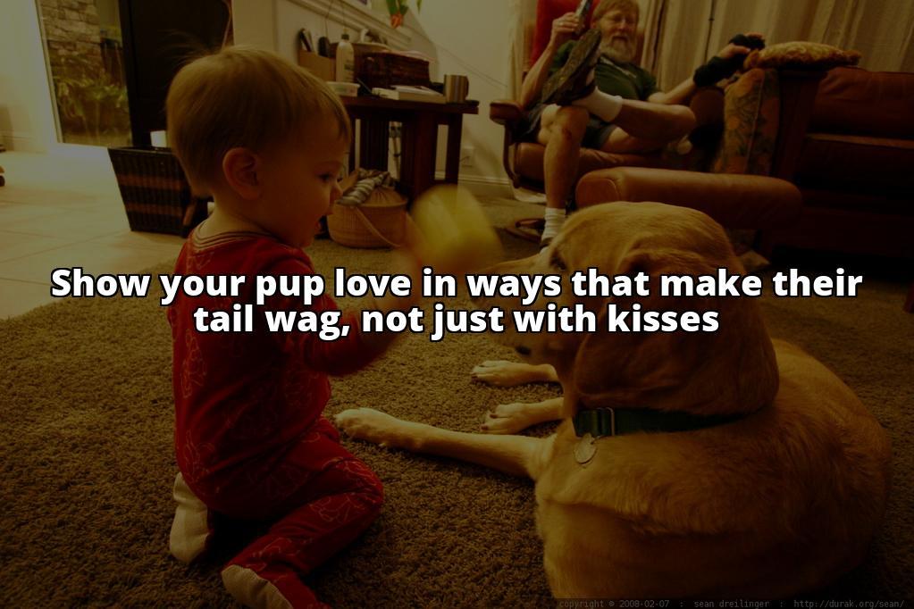 Do Dogs Actually Enjoy Kisses? Here's What Science Says Wondering if your furry friend likes kisses? This article delves into the science behind dog behavior, discussing if dogs enjoy kisses and why Do Dogs Actually Enjoy Kisses? Here's What Science Says Wondering if your furry friend likes kisses? This article delves into the science behind dog behavior, discussing if dogs enjoy kisses and why