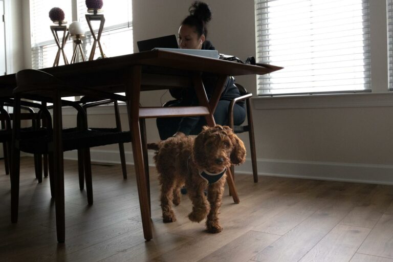 Home with pet - a woman sitting at a table with a dog