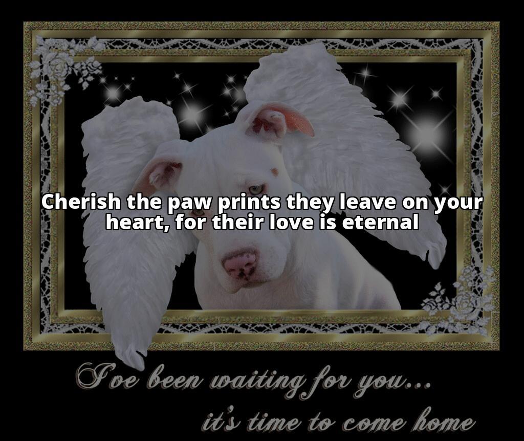 How Much Does It Cost to Cremate a Dog? A Comprehensive Guide Planning to cremate your dog? Know the cost and other important details here. Click to learn more How Much Does It Cost to Cremate a Dog? A Comprehensive Guide Planning to cremate your dog? Know the cost and other important details here. Click to learn more