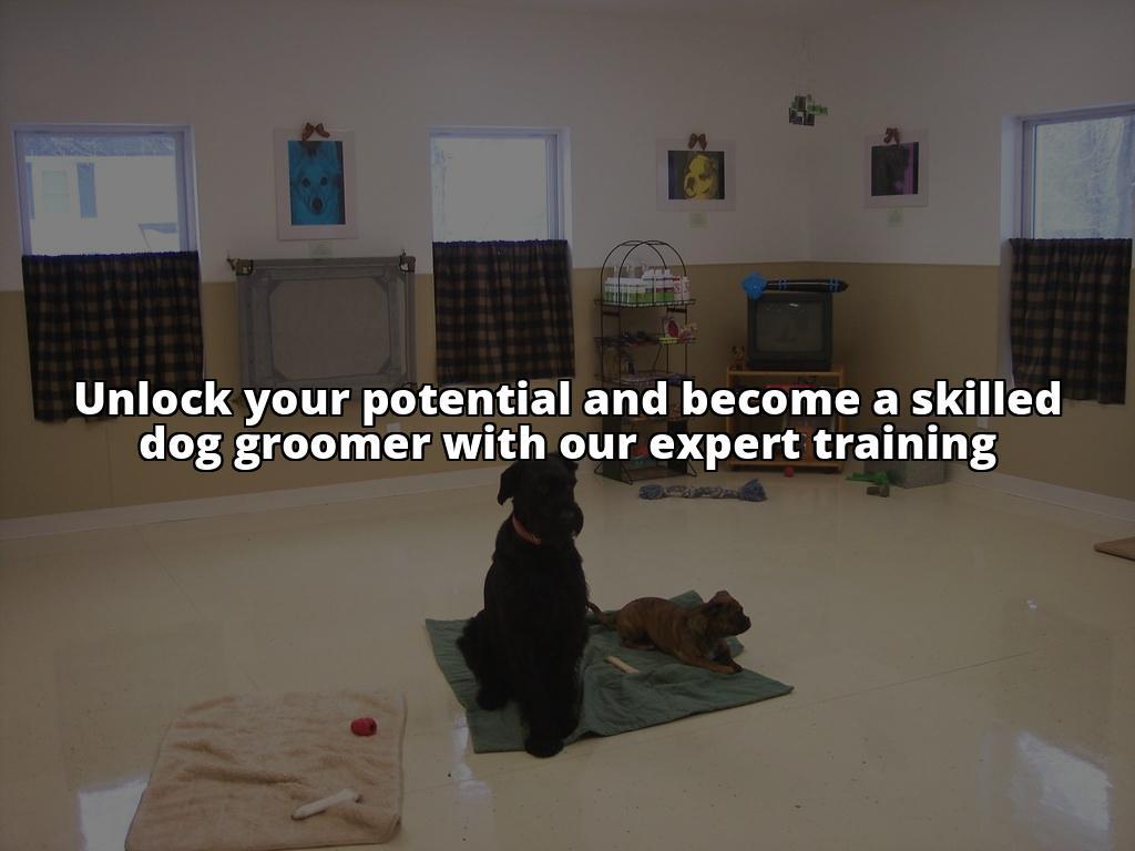 How to Become a Dog Groomer: The Complete Guide for Aspiring Professionals Winning meta description: Want to turn your love for dogs into a career? Our guide on how to become a dog groomer covers everything you need to know to get started How to Become a Dog Groomer: The Complete Guide for Aspiring Professionals Winning meta description: Want to turn your love for dogs into a career? Our guide on how to become a dog groomer covers everything you need to know to get started