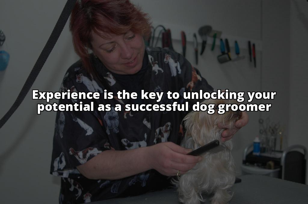 How to Become a Dog Groomer: The Complete Guide for Aspiring Professionals Winning meta description: Want to turn your love for dogs into a career? Our guide on how to become a dog groomer covers everything you need to know to get started How to Become a Dog Groomer: The Complete Guide for Aspiring Professionals Winning meta description: Want to turn your love for dogs into a career? Our guide on how to become a dog groomer covers everything you need to know to get started