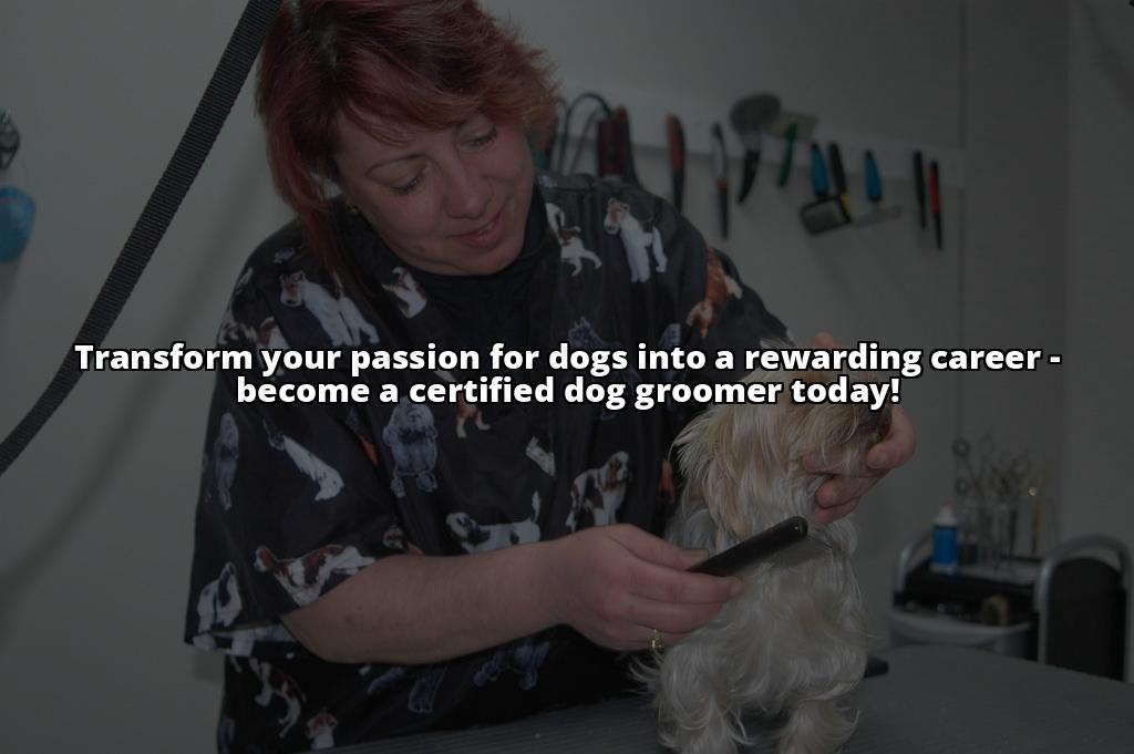How to Become a Dog Groomer: The Complete Guide for Aspiring Professionals Winning meta description: Want to turn your love for dogs into a career? Our guide on how to become a dog groomer covers everything you need to know to get started How to Become a Dog Groomer: The Complete Guide for Aspiring Professionals Winning meta description: Want to turn your love for dogs into a career? Our guide on how to become a dog groomer covers everything you need to know to get started