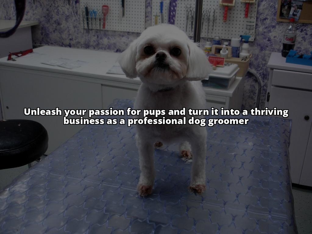 How to Become a Dog Groomer: The Complete Guide for Aspiring Professionals Winning meta description: Want to turn your love for dogs into a career? Our guide on how to become a dog groomer covers everything you need to know to get started How to Become a Dog Groomer: The Complete Guide for Aspiring Professionals Winning meta description: Want to turn your love for dogs into a career? Our guide on how to become a dog groomer covers everything you need to know to get started