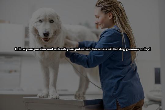 How to Become a Dog Groomer: The Complete Guide for Aspiring Professionals Winning meta description: Want to turn your love for dogs into a career? Our guide on how to become a dog groomer covers everything you need to know to get started How to Become a Dog Groomer: The Complete Guide for Aspiring Professionals Winning meta description: Want to turn your love for dogs into a career? Our guide on how to become a dog groomer covers everything you need to know to get started