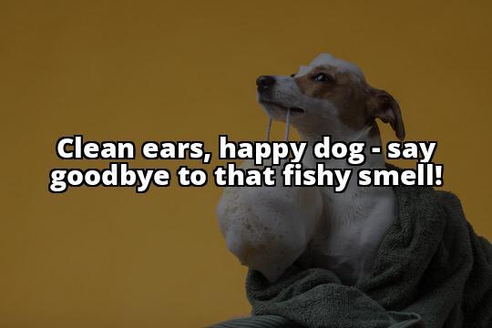 How to Get Rid of Fishy Smell from Your Dog - A Comprehensive Guide Get Rid of Your Dog's Fishy Smell for Good - Our Comprehensive Guide Will Show You How - Take Action Now! How to Get Rid of Fishy Smell from Your Dog - A Comprehensive Guide Get Rid of Your Dog's Fishy Smell for Good - Our Comprehensive Guide Will Show You How - Take Action Now!