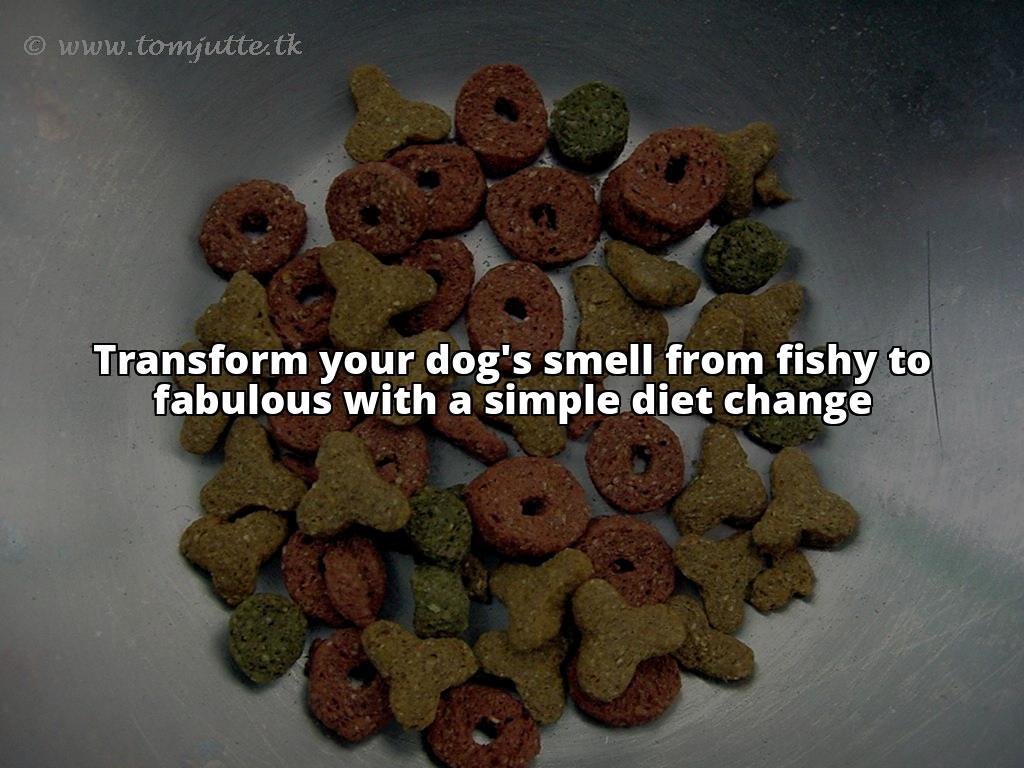 How to Get Rid of Fishy Smell from Your Dog - A Comprehensive Guide Get Rid of Your Dog's Fishy Smell for Good - Our Comprehensive Guide Will Show You How - Take Action Now!