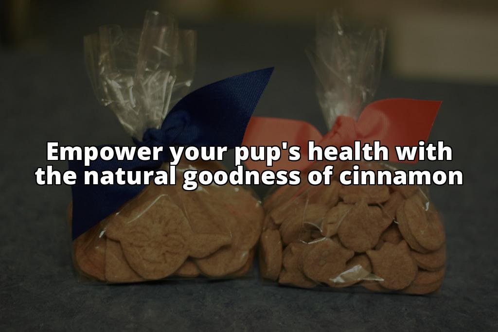 Is Cinnamon Safe for Dogs? A Comprehensive Guide to its Benefits and Risks Is Cinnamon Good for Dogs? Everything You Need to Know in One Place! Is Cinnamon Safe for Dogs? A Comprehensive Guide to its Benefits and Risks Is Cinnamon Good for Dogs? Everything You Need to Know in One Place!