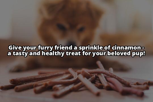 Is Cinnamon Safe for Dogs? A Comprehensive Guide to its Benefits and Risks Is Cinnamon Good for Dogs? Everything You Need to Know in One Place! Is Cinnamon Safe for Dogs? A Comprehensive Guide to its Benefits and Risks Is Cinnamon Good for Dogs? Everything You Need to Know in One Place!