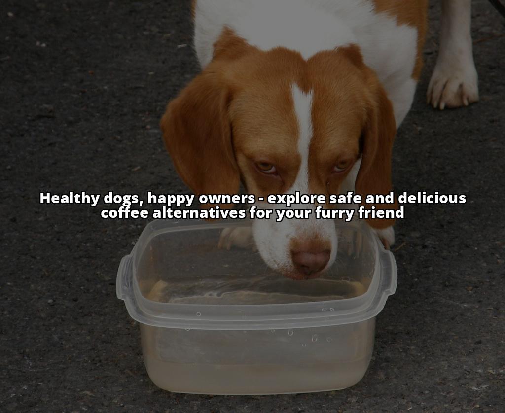 Is Coffee Really Bad for Dogs? Here's What You Need to Know Is coffee bad for dogs? Find out why and what to do if your dog ingests coffee. Keep your pet healthy and safe Is Coffee Really Bad for Dogs? Here's What You Need to Know Is coffee bad for dogs? Find out why and what to do if your dog ingests coffee. Keep your pet healthy and safe