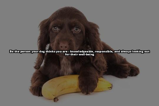Is Coffee Really Bad for Dogs? Here's What You Need to Know Is coffee bad for dogs? Find out why and what to do if your dog ingests coffee. Keep your pet healthy and safe Is Coffee Really Bad for Dogs? Here's What You Need to Know Is coffee bad for dogs? Find out why and what to do if your dog ingests coffee. Keep your pet healthy and safe
