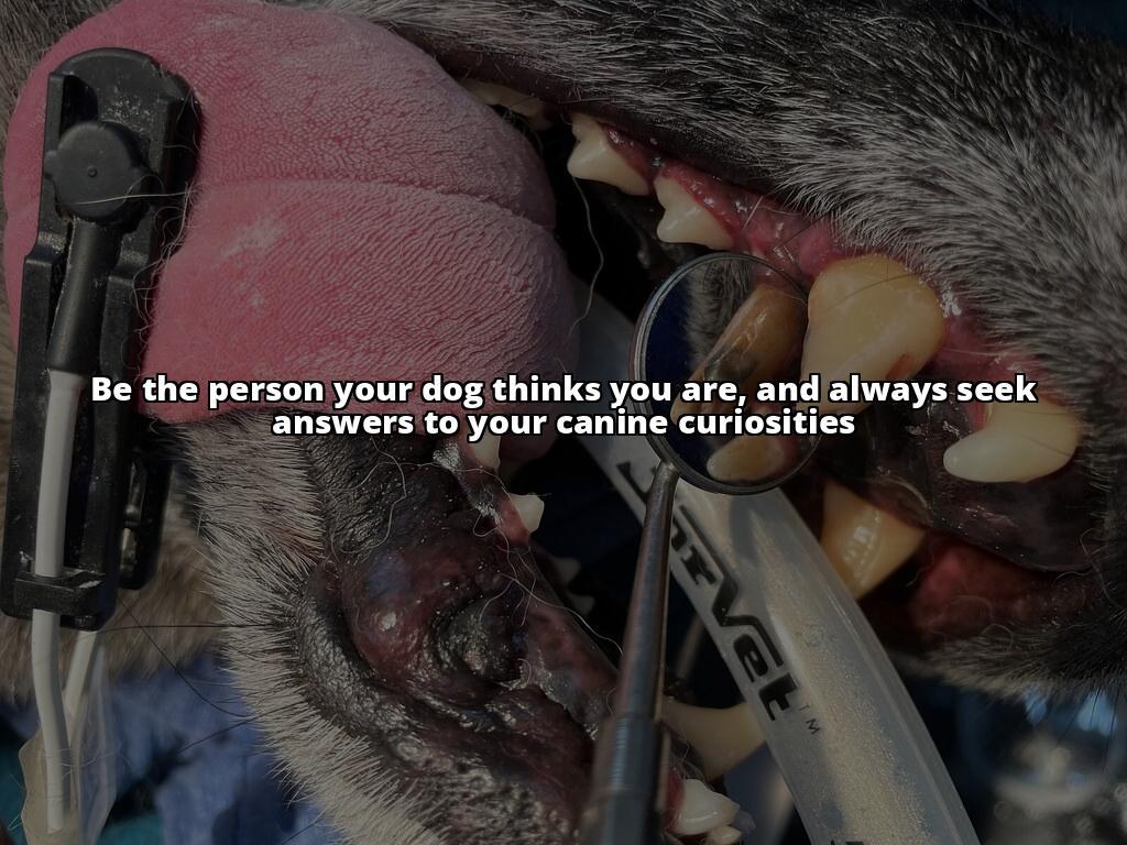 Is Goofy a Dog or Cow? The Surprising Truth Revealed Curious about Goofy's true identity? Our article delves into the fascinating history, physical characteristics, and personality traits of this beloved Disney dog Is Goofy a Dog or Cow? The Surprising Truth Revealed Curious about Goofy's true identity? Our article delves into the fascinating history, physical characteristics, and personality traits of this beloved Disney dog