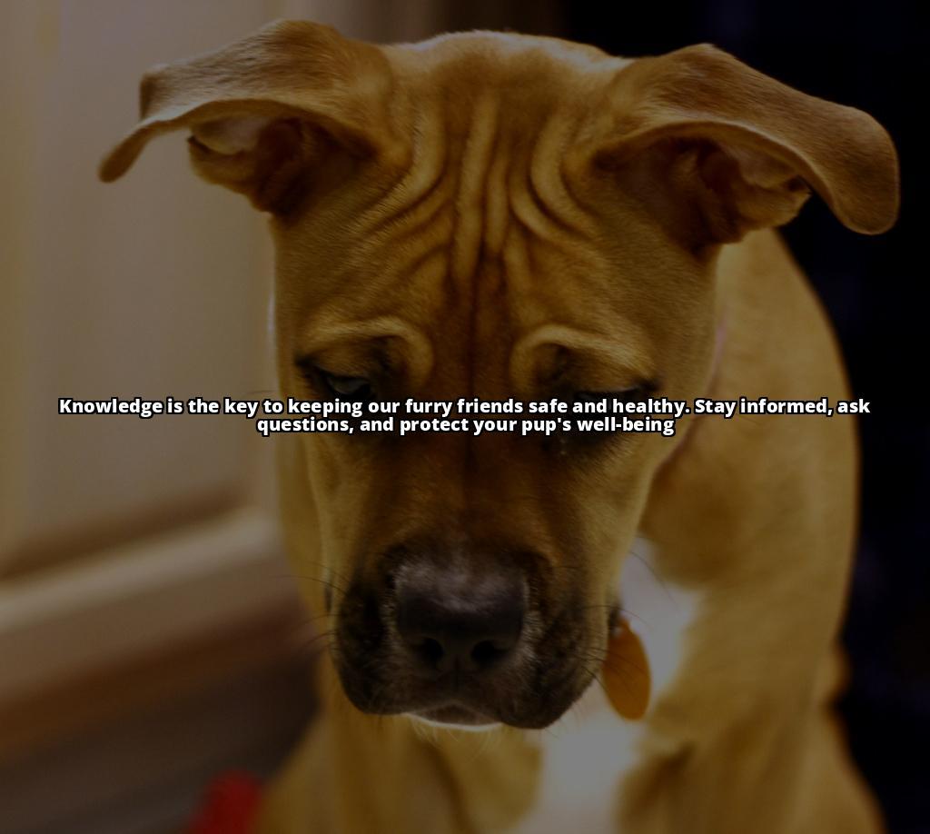 Peanut Butter and Dogs: Risks and Alternatives for a Safe Treat Is Peanut Butter Safe for Dogs? Risks, Alternatives, and Guidelines to Keep Your Pooch Healthy Peanut Butter and Dogs: Risks and Alternatives for a Safe Treat Is Peanut Butter Safe for Dogs? Risks, Alternatives, and Guidelines to Keep Your Pooch Healthy