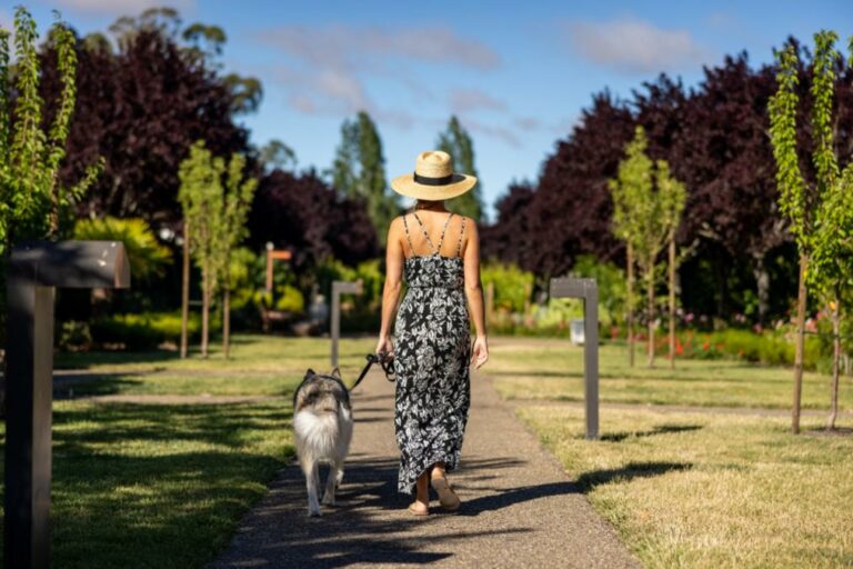 Person Walking - a woman walking a dog on a path