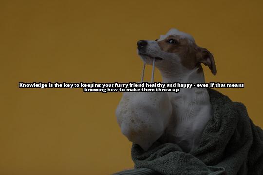 Safely Inducing Vomiting in Dogs: A Step-by-Step Guide Don't panic, learn how to make your dog throw up safely and effectively at home. Read our guide and have a plan in place for emergencies Safely Inducing Vomiting in Dogs: A Step-by-Step Guide Don't panic, learn how to make your dog throw up safely and effectively at home. Read our guide and have a plan in place for emergencies