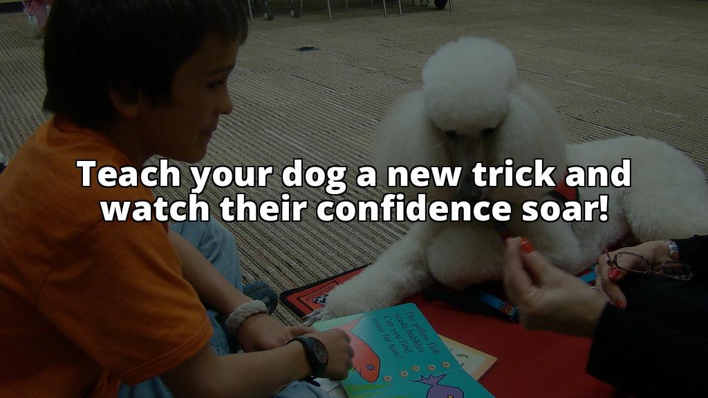Shake It Up: A Step-by-Step Guide to Teaching Your Dog to Shake Hands How to Train Your Dog to Shake Hands: A Step-by-Step Guide Shake It Up: A Step-by-Step Guide to Teaching Your Dog to Shake Hands How to Train Your Dog to Shake Hands: A Step-by-Step Guide