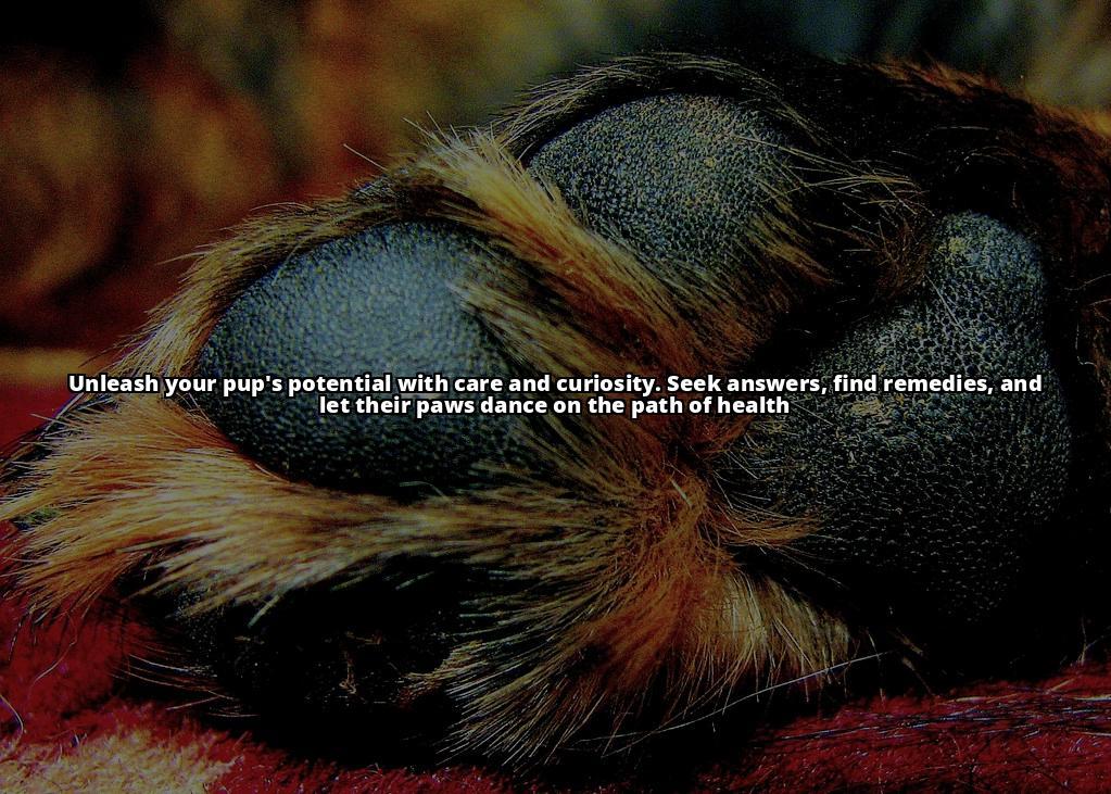 Stop Your Dog from Licking its Paws: Natural Home Remedies Is your dog licking its paws excessively? Discover natural home remedies to stop this behavior and improve its overall well-being. Click here to learn more Stop Your Dog from Licking its Paws: Natural Home Remedies Is your dog licking its paws excessively? Discover natural home remedies to stop this behavior and improve its overall well-being. Click here to learn more
