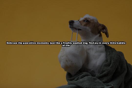 Stop Your Dog from Licking its Paws: Natural Home Remedies Is your dog licking its paws excessively? Discover natural home remedies to stop this behavior and improve its overall well-being. Click here to learn more Stop Your Dog from Licking its Paws: Natural Home Remedies Is your dog licking its paws excessively? Discover natural home remedies to stop this behavior and improve its overall well-being. Click here to learn more