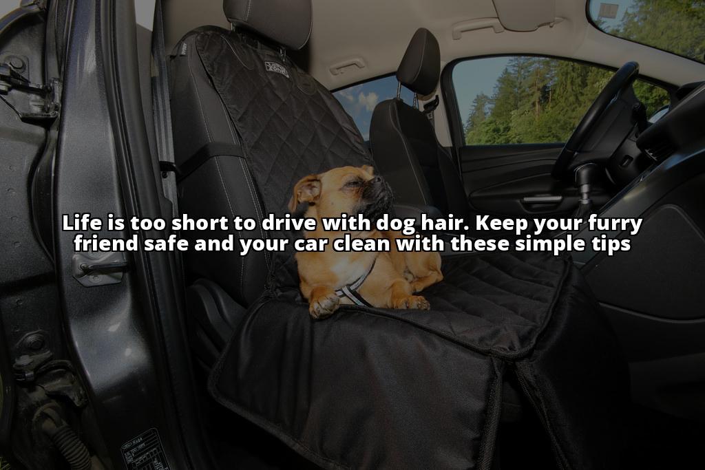 The Best Way to Get Dog Hair Out of Your Car: A Complete Guide The Ultimate Guide to Removing Dog Hair from Your Car The Best Way to Get Dog Hair Out of Your Car: A Complete Guide The Ultimate Guide to Removing Dog Hair from Your Car