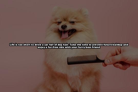 The Best Way to Get Dog Hair Out of Your Car: A Complete Guide The Ultimate Guide to Removing Dog Hair from Your Car The Best Way to Get Dog Hair Out of Your Car: A Complete Guide The Ultimate Guide to Removing Dog Hair from Your Car