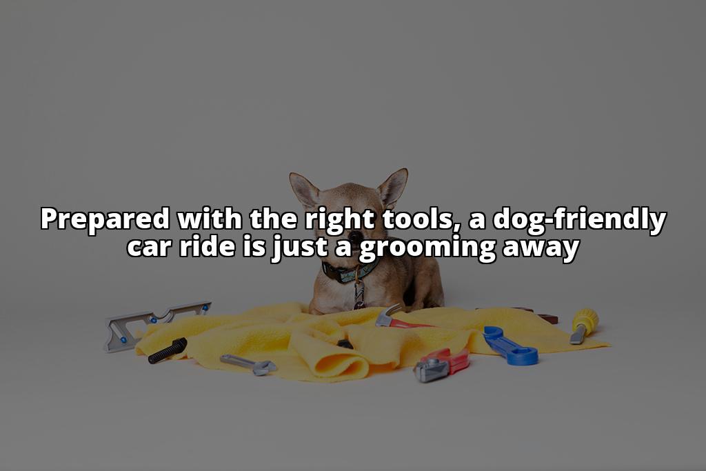 The Best Way to Get Dog Hair Out of Your Car: A Complete Guide The Ultimate Guide to Removing Dog Hair from Your Car The Best Way to Get Dog Hair Out of Your Car: A Complete Guide The Ultimate Guide to Removing Dog Hair from Your Car