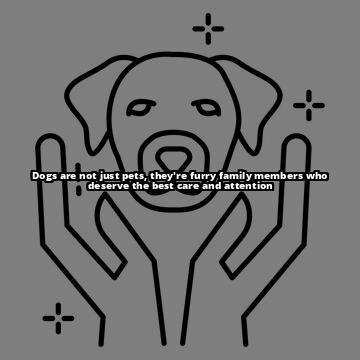 The Comprehensive Guide to Dog Nipples: Anatomy, Issues, and Importance of Checking Wondering how many nipples your dog has? Our comprehensive guide covers everything from anatomy to common issues. Click to learn more! The Comprehensive Guide to Dog Nipples: Anatomy, Issues, and Importance of Checking Wondering how many nipples your dog has? Our comprehensive guide covers everything from anatomy to common issues. Click to learn more!
