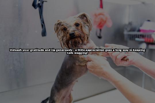 The Ultimate Guide to Tipping Your Dog Groomer: How Much Should You Give? Tipping your dog groomer is a great way to show appreciation for their hard work. Learn how much to tip and other ways to show gratitude in our guide The Ultimate Guide to Tipping Your Dog Groomer: How Much Should You Give? Tipping your dog groomer is a great way to show appreciation for their hard work. Learn how much to tip and other ways to show gratitude in our guide