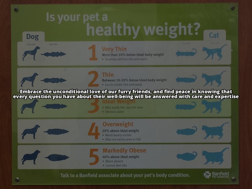 The Ultimate Guide to Tipping Your Dog Groomer: How Much Should You Give? Tipping your dog groomer is a great way to show appreciation for their hard work. Learn how much to tip and other ways to show gratitude in our guide The Ultimate Guide to Tipping Your Dog Groomer: How Much Should You Give? Tipping your dog groomer is a great way to show appreciation for their hard work. Learn how much to tip and other ways to show gratitude in our guide
