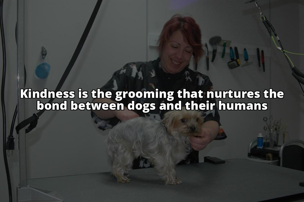 The Ultimate Guide to Tipping Your Dog Groomer: How Much Should You Give? Tipping your dog groomer is a great way to show appreciation for their hard work. Learn how much to tip and other ways to show gratitude in our guide The Ultimate Guide to Tipping Your Dog Groomer: How Much Should You Give? Tipping your dog groomer is a great way to show appreciation for their hard work. Learn how much to tip and other ways to show gratitude in our guide
