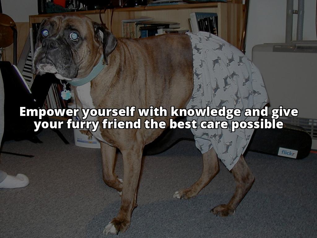 The Ultimate Guide to Understanding How Often Dogs Get Their Period Winning meta description: Don't let your dog's menstrual cycle go unnoticed. Learn how often dogs get their period and how to manage it with our ultimate guide The Ultimate Guide to Understanding How Often Dogs Get Their Period Winning meta description: Don't let your dog's menstrual cycle go unnoticed. Learn how often dogs get their period and how to manage it with our ultimate guide