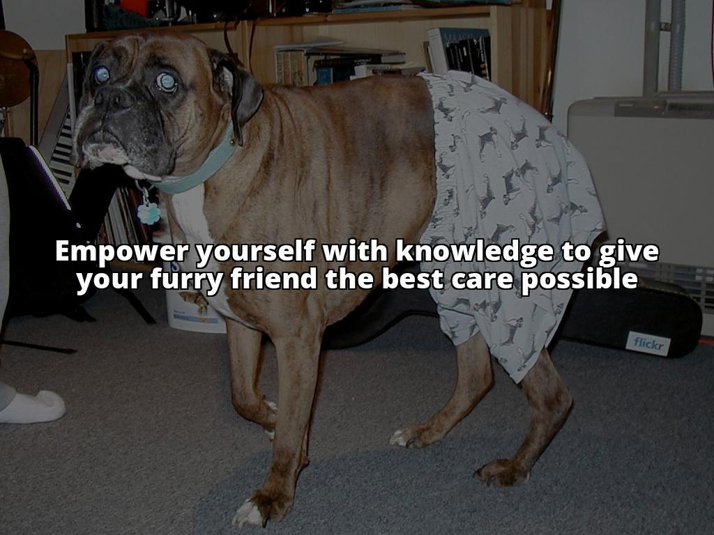 The Ultimate Guide to Understanding How Often Dogs Get Their Period Winning meta description: Don't let your dog's menstrual cycle go unnoticed. Learn how often dogs get their period and how to manage it with our ultimate guide The Ultimate Guide to Understanding How Often Dogs Get Their Period Winning meta description: Don't let your dog's menstrual cycle go unnoticed. Learn how often dogs get their period and how to manage it with our ultimate guide