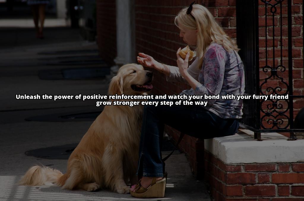 The Ultimate Guide to Walking Your Dog on a Leash: Start Here Introducing the Leash to Your Dog: Tips to Get Them Comfortable and Confident The Ultimate Guide to Walking Your Dog on a Leash: Start Here Introducing the Leash to Your Dog: Tips to Get Them Comfortable and Confident