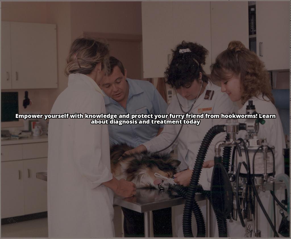 Winning Title: Hookworms in Dogs: A Complete Guide to Causes, Symptoms, and Prevention Strategies Worried about hookworms in your dog? Learn everything you need to know, from symptoms to prevention strategies Winning Title: Hookworms in Dogs: A Complete Guide to Causes, Symptoms, and Prevention Strategies Worried about hookworms in your dog? Learn everything you need to know, from symptoms to prevention strategies