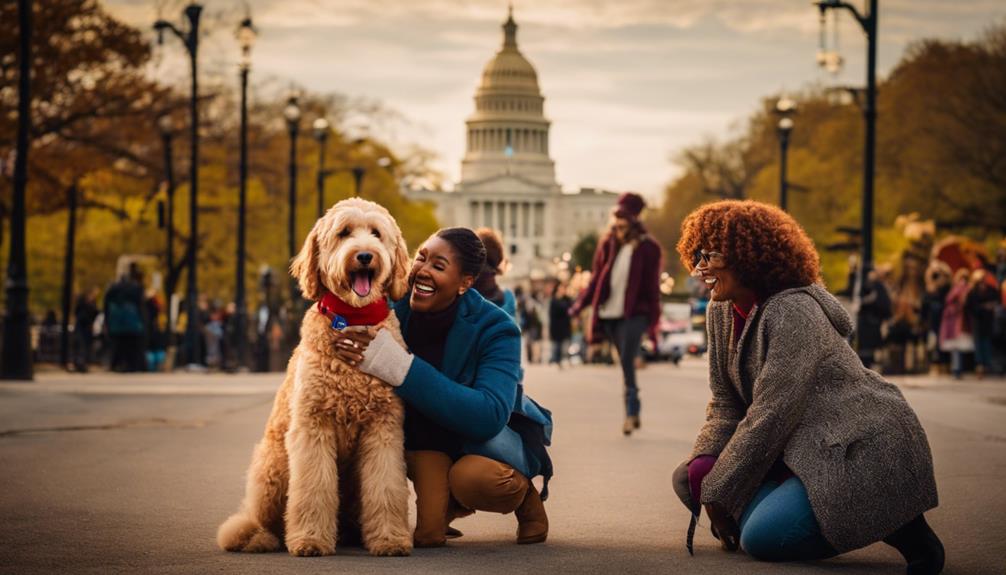 Goldendoodle Rescues In Illinois Kind-hearted Illinois rescues are giving Goldendoodles a second chance, uncover the compassionate journey behind each adoption.