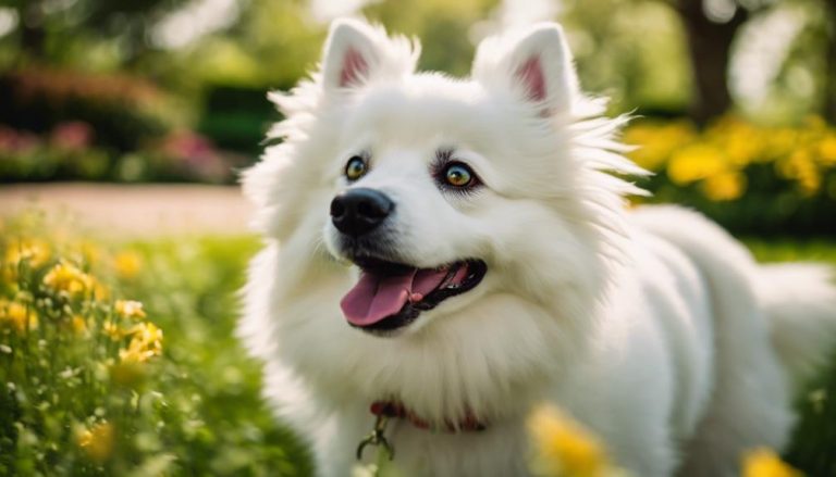 white fluffy friendly pup